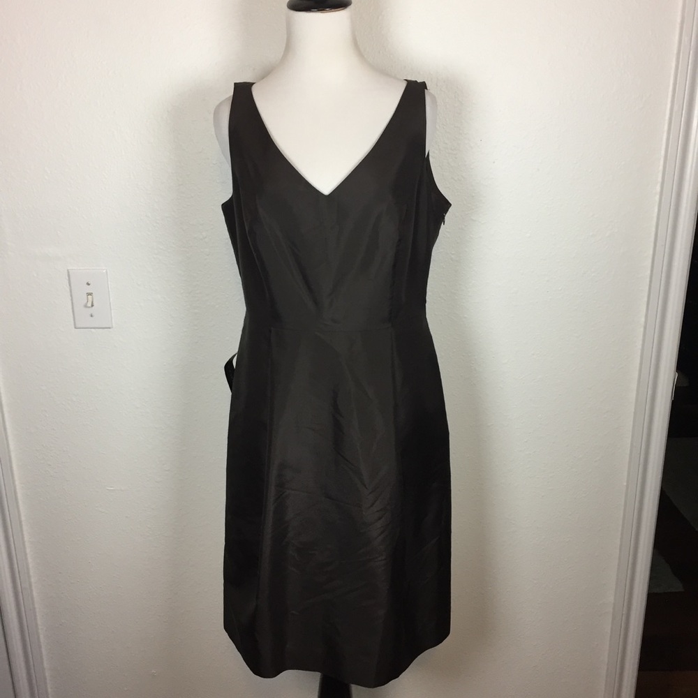 NWT Silk Ann Taylor Dress size 10 Petite
